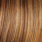 Hairdo Fringe Top of Head Hairpiece Bangs