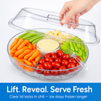 Fruit Ice Serving Tray with Four Compartments