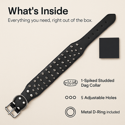 Spiked Dog Leather Collar: Everyday Wear