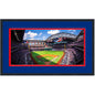 Framed Globe Life Field Texas Rangers 16x24 Baseball Photo Professionally Matted