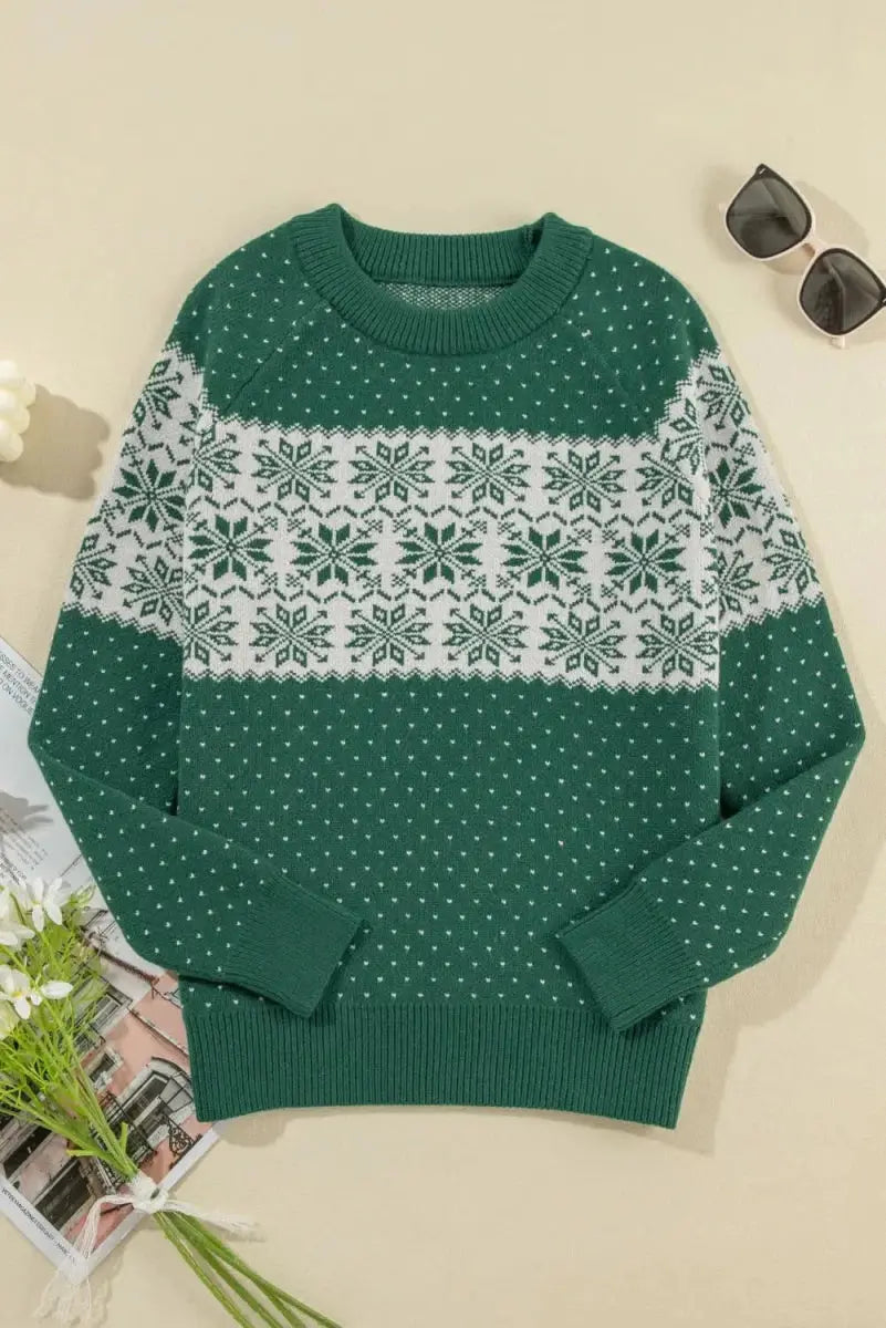 Sweaters Trendsi Graphic Sweater Women's Casual Long Sleeve Round Neck Stylish Top