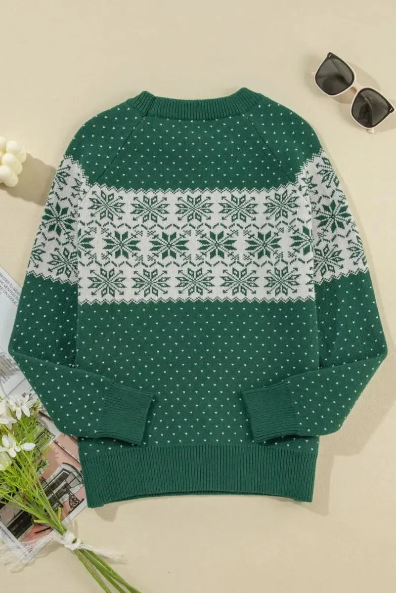 Sweaters Trendsi Graphic Sweater Women's Casual Long Sleeve Round Neck Stylish Top