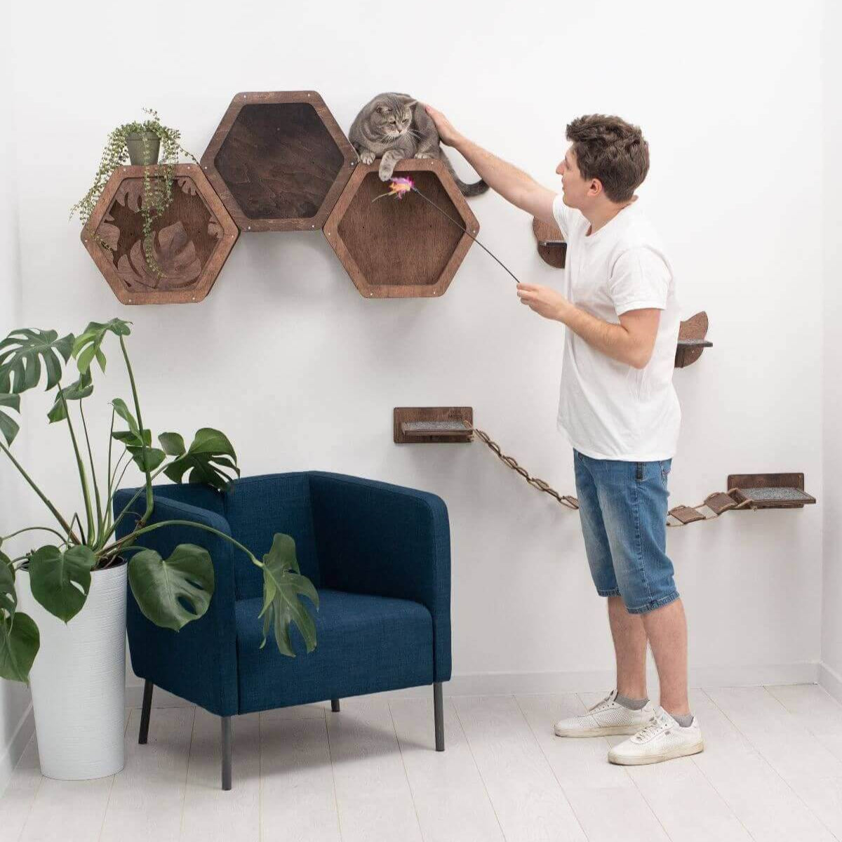 Cat Hexagon Shelf Dark Walnut