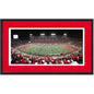 Framed TDECU Stadium Houston Cougars 16x24 NCAA Football Photo Professionally Matted