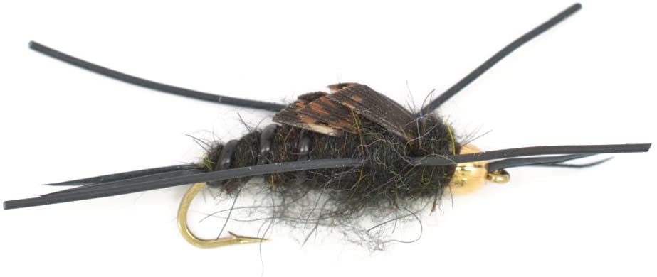 Basics Collection - Kaufmann's Tungsten Black Stonefly Kit 10 Flies #4-12