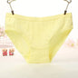 Kawaii Briefs