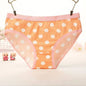 Kawaii Briefs