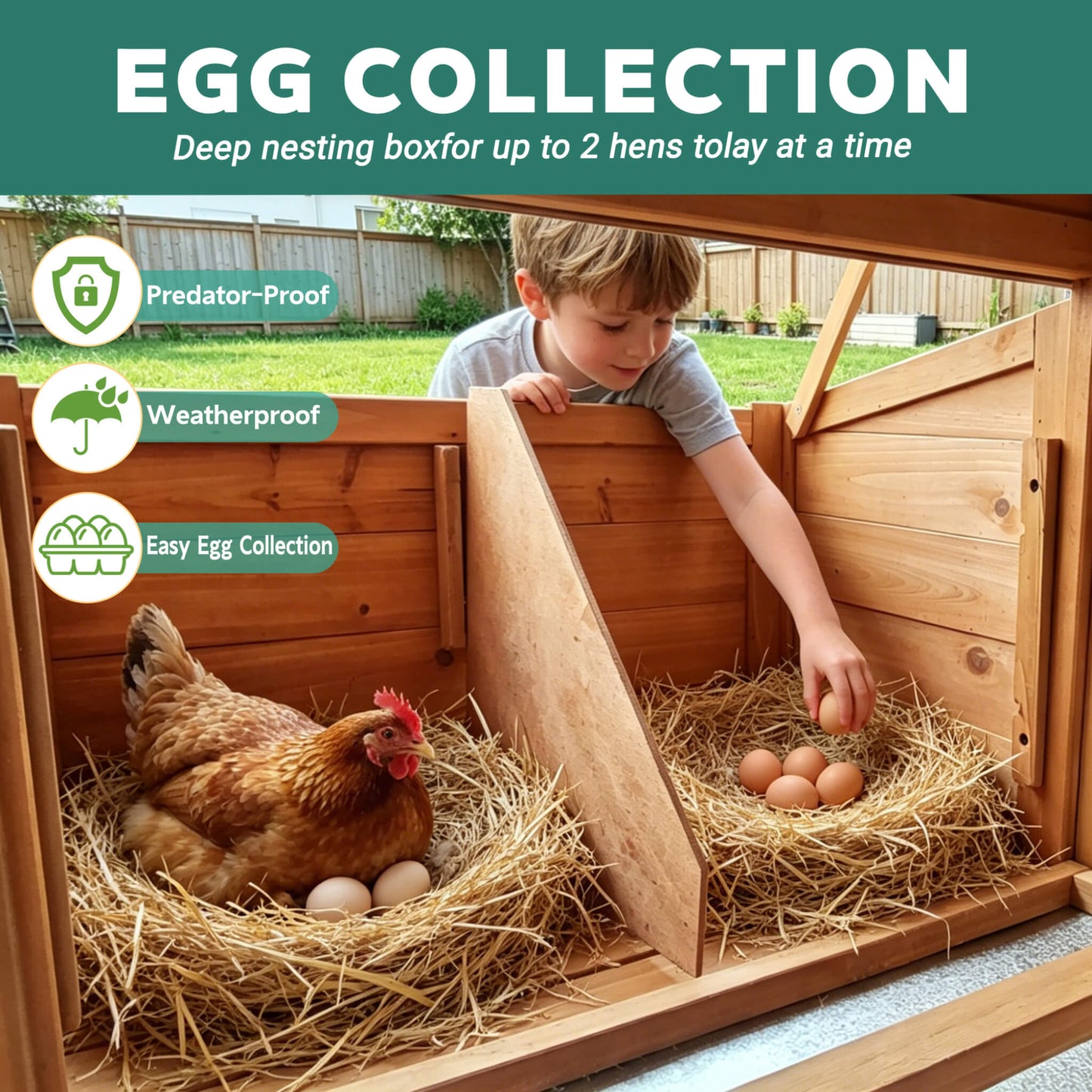 Large 122-Inch Chicken Coop With Run, Nest Box & Removable Tray For 4-6 Hens (SAK19542)
