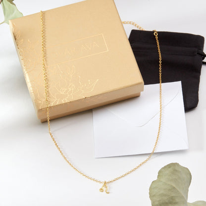 Leo Zodiac Gift Necklace
