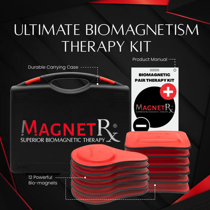 Biomagnetic Therapy Magnet Kit — Ferrite & Leather (12 Mixed Units)