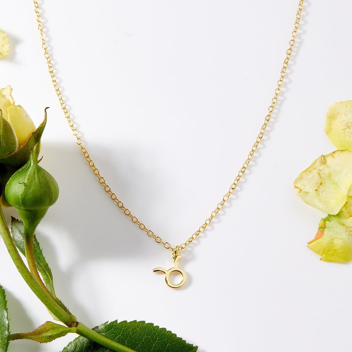 May 9th Taurus Necklace