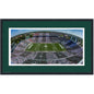 Framed Spartan Stadium Michigan State Spartans 16x24 NCAA Football Photo Professionally Matted