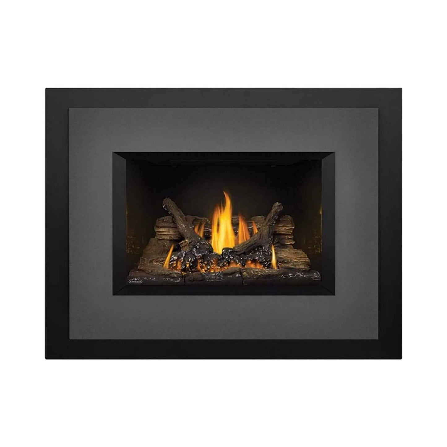 Napoleon Oakville 3 28-Inch Direct Vent Natural Gas Fireplace Insert [GDI3N-1] (SAK25498)