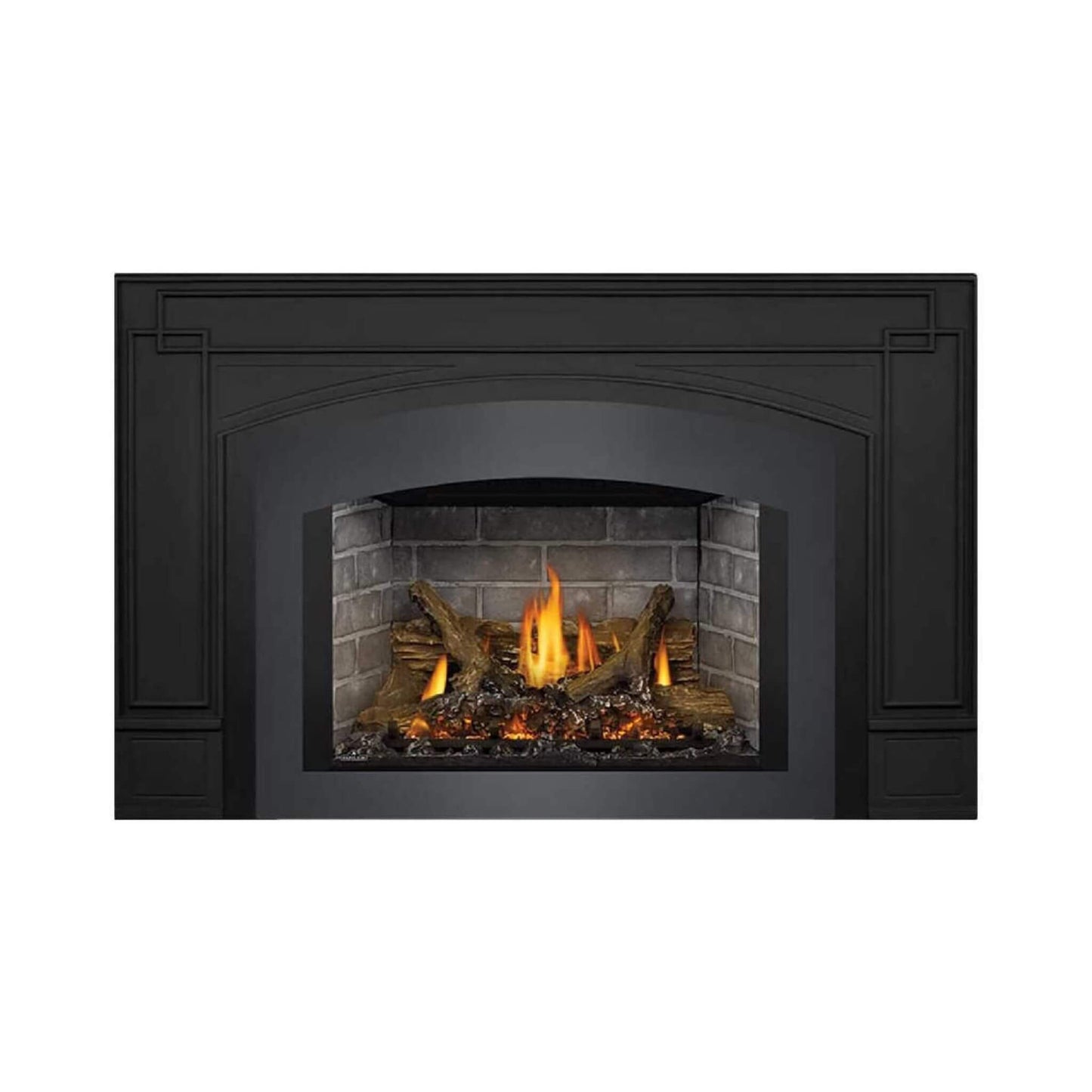Napoleon Oakville X3/X4 Direct Vent Electronic Ignition Natural Gas Fireplace Insert [GDIX3N/4N-1] (SAK21347)
