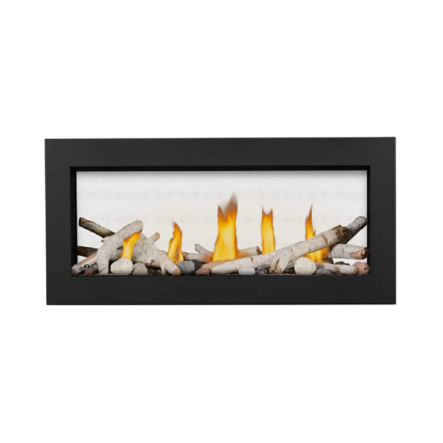 Napoleon Vector 38-Inch See-Through Direct Vent Electronic Ignition Natural Gas Fireplace With eFIRE Bluetooth App [LV38N2-1] (SAK29471)