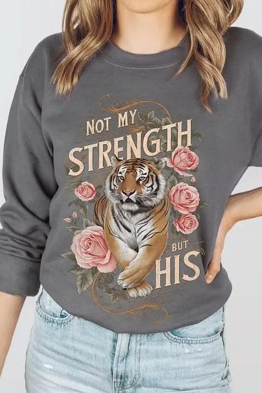 Color Bear Tiger Graphic Unisex Sweatshirt Oversized