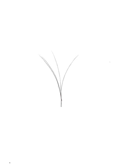 VIP Extensions V Type Easy Fan Lash Extensions 0.05 C Curl 12 Lines, Mixed Lengths