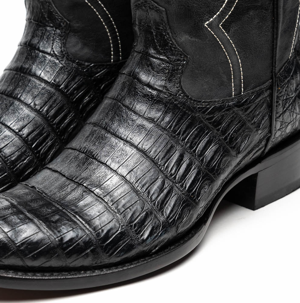 Phoenix Black