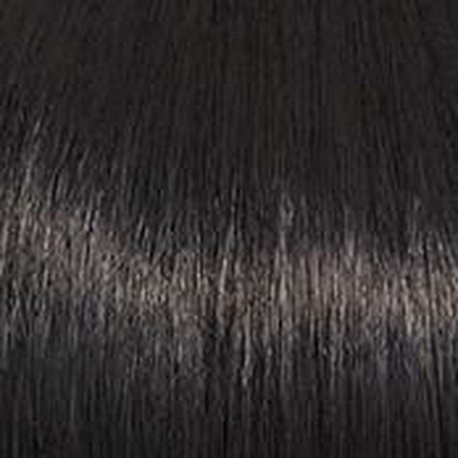 POWER - Wig by Raquel Welch
