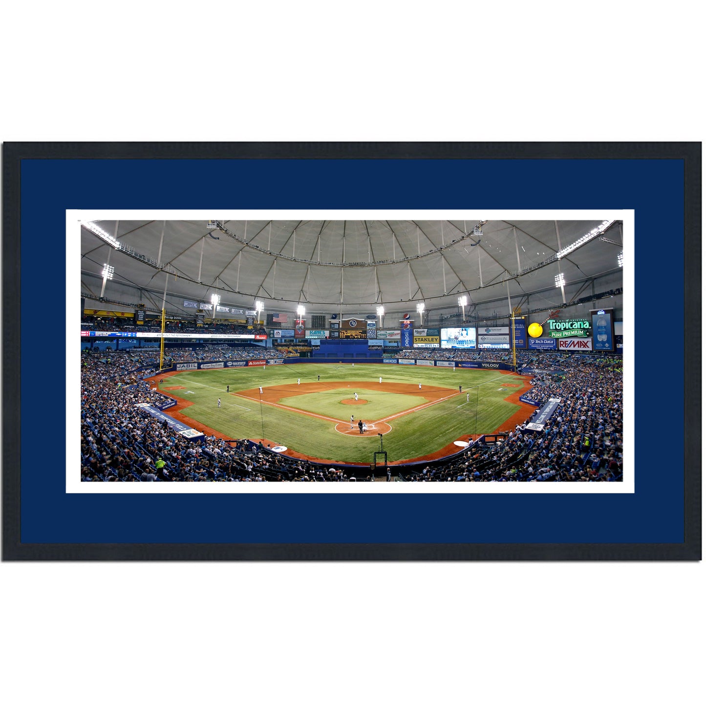 Framed Tropicana Field Tampa Bay Rays MLB 16x24 Baseball Photo Professionally Matted