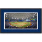 Framed Tropicana Field Tampa Bay Rays MLB 16x24 Baseball Photo Professionally Matted