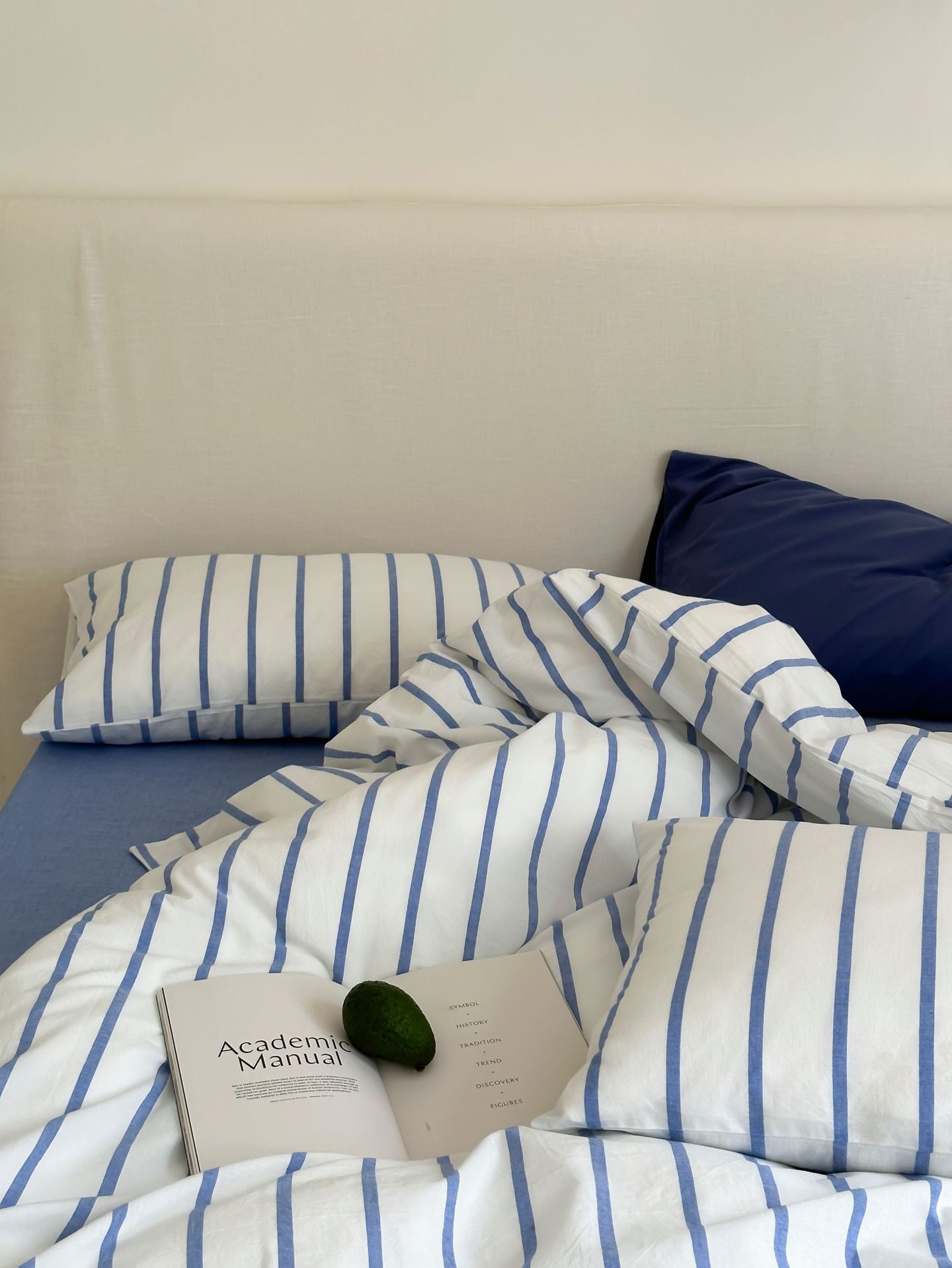 Refreshing Stripe Bedding Set / Blue Single