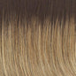 Raquel Welch Scene Stealer Wig Hairpiece New With Tags