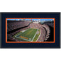 Framed Soldier Field Chicago Bears 16x24 Football Photo Professionally Matted