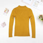 Solid Turtleneck Sweater