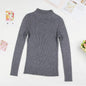 Solid Turtleneck Sweater