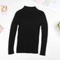 Solid Turtleneck Sweater