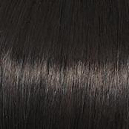 Star Quality - Wig by Raquel Welch