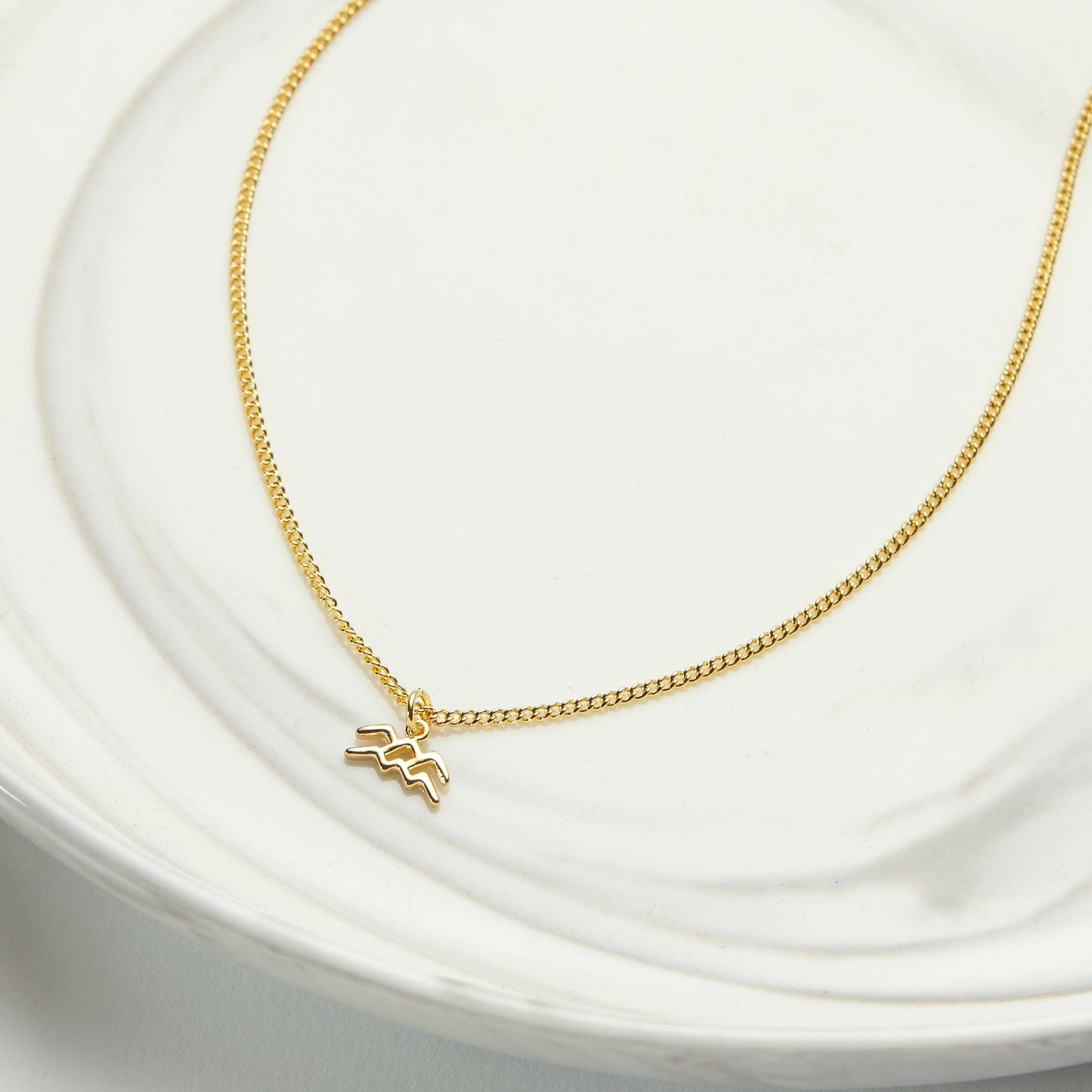 Starry Night Aquarius Zodiac Necklace