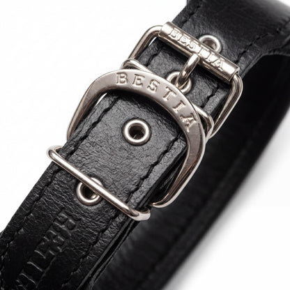 "Stylish" 2 inch wide dog collar