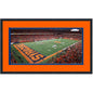 Framed JMA Wireless Dome Syracuse Orange 16x24 NCAA Football Photo Professionally Matted