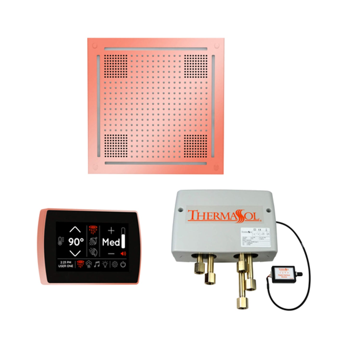 ThermaSol STC & HydroVive Wellness Shower Package With Digital Shower Valve (SAK40716)