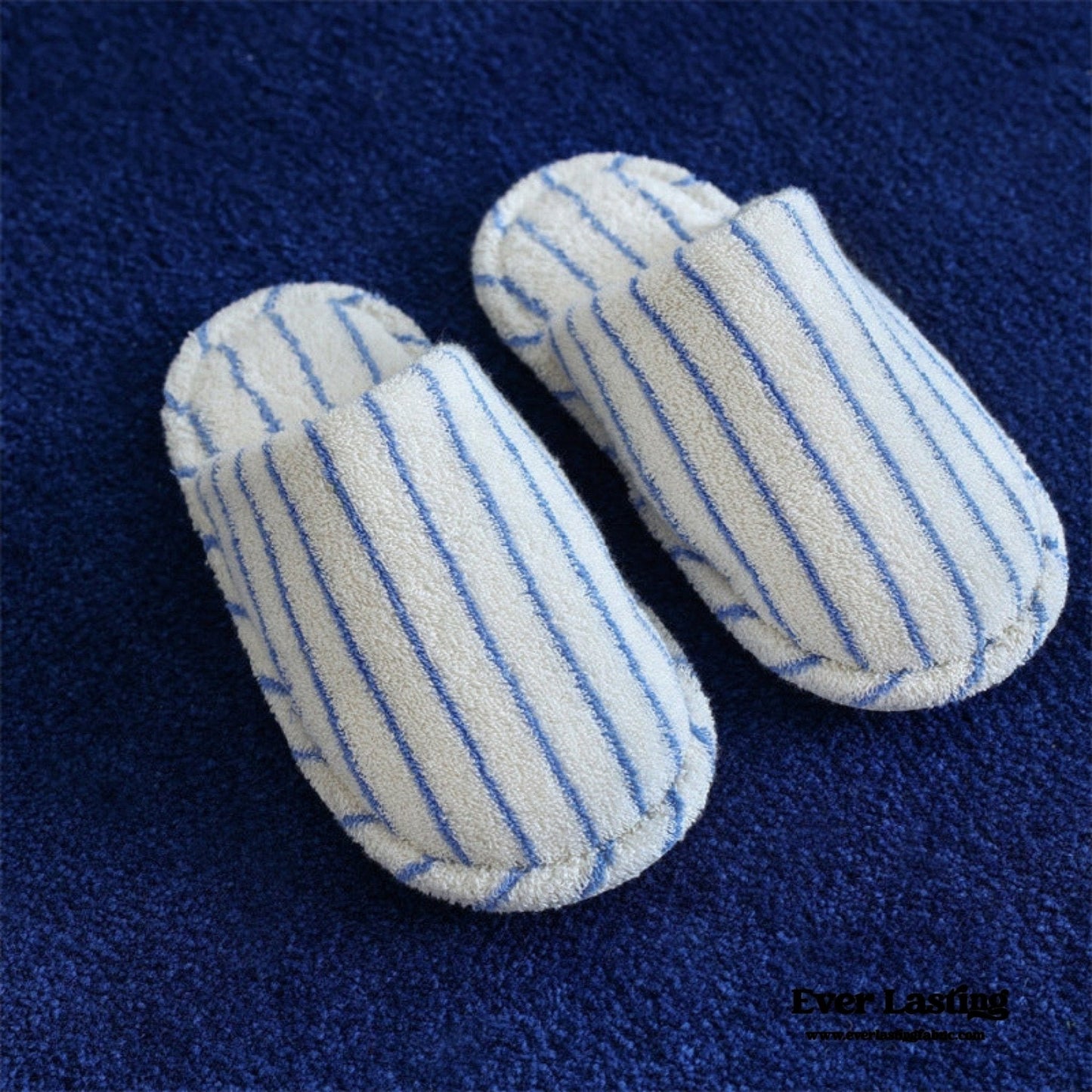 Thin Striped House Slippers / Blue