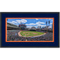 Framed Comerica Park Detroit Tigers MLB 16x24 Baseball Photo Professionally Matted