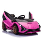 12V Kids Electric Ride-On Lamborghini Sian Car with Remote Control