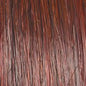 Raquel Welch Top Billing 12" Top Piece Hair Topper Hairpiece