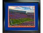 Framed Ben Hill Griffin Stadium (The Swamp) Florida Gators 11"x14" NCAA Football Photo Professionally Matted