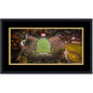 Framed FirstBank Stadium Vanderbilt Commodores 16x24 NCAA Football Photo Professionally Matted