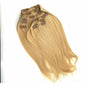 VIP Clip Extensions / Silky Straight 18" - ClipeX System