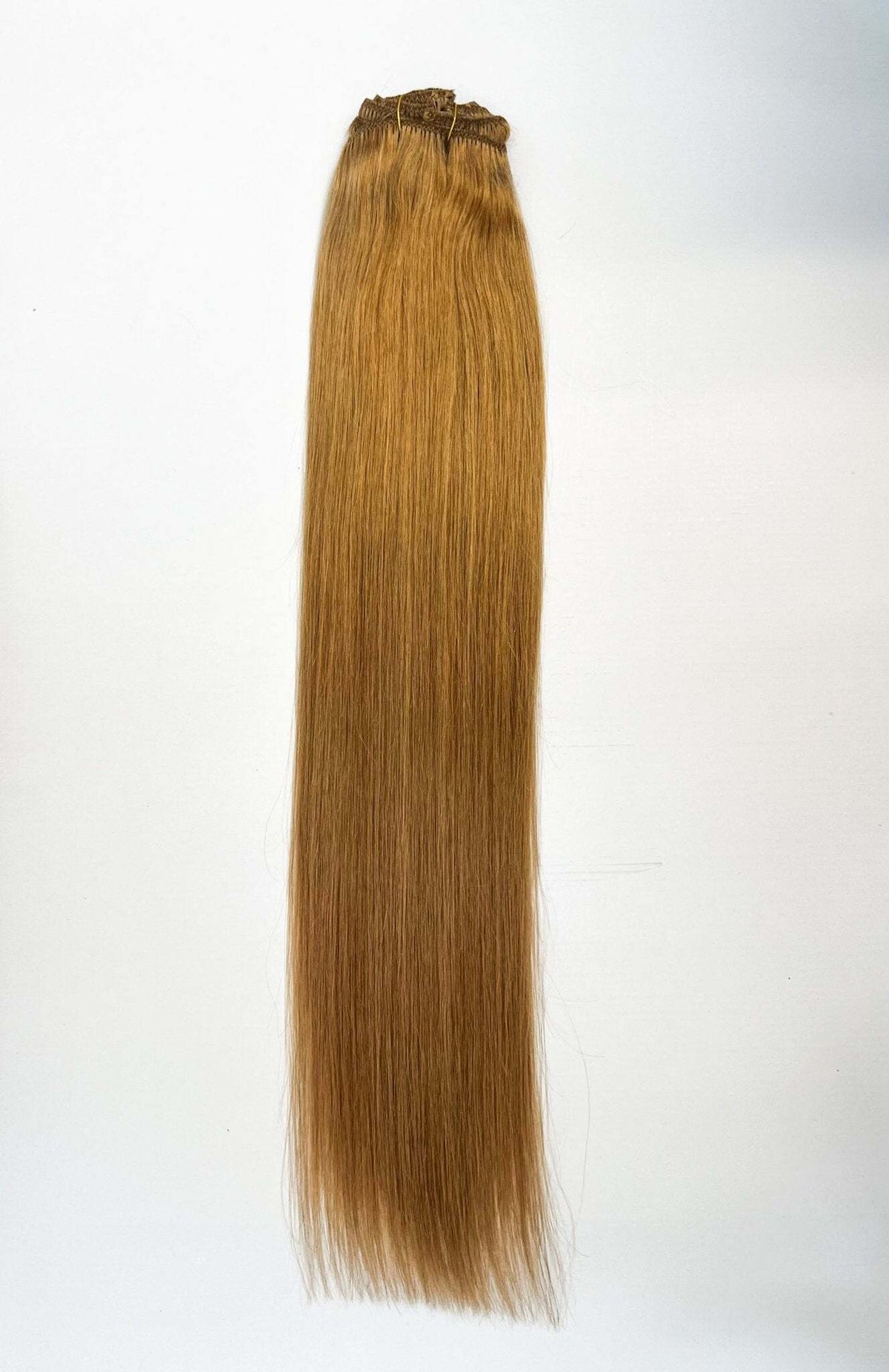 VIP Clip Extensions / Silky Straight 24" (170 g) - ClipeX System
