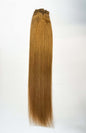 VIP Clip Extensions / Silky Straight 24" (170 g) - ClipeX System