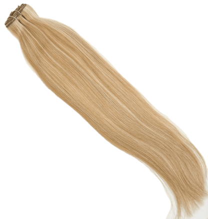 VIP Clip Extensions / Silky Straight 24" (170 g) - ClipeX System