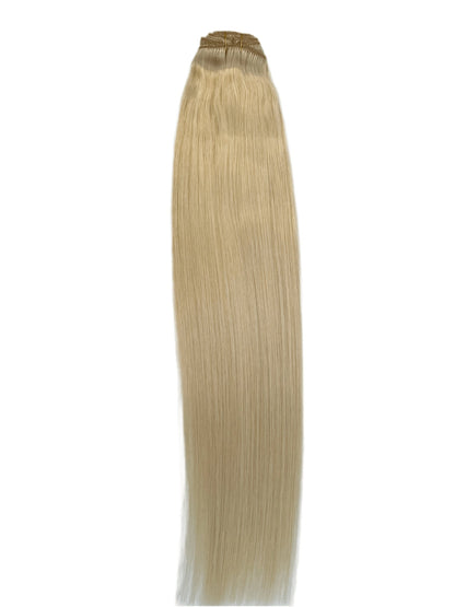 VIP Clip Extensions / Silky Straight 24" (170 g) - ClipeX System