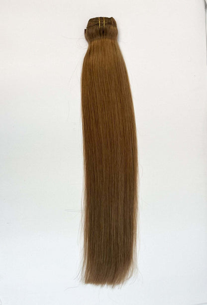 VIP Clip Extensions / Silky Straight 24" (170 g) - ClipeX System