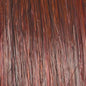 Raquel Welch Well Played Wig