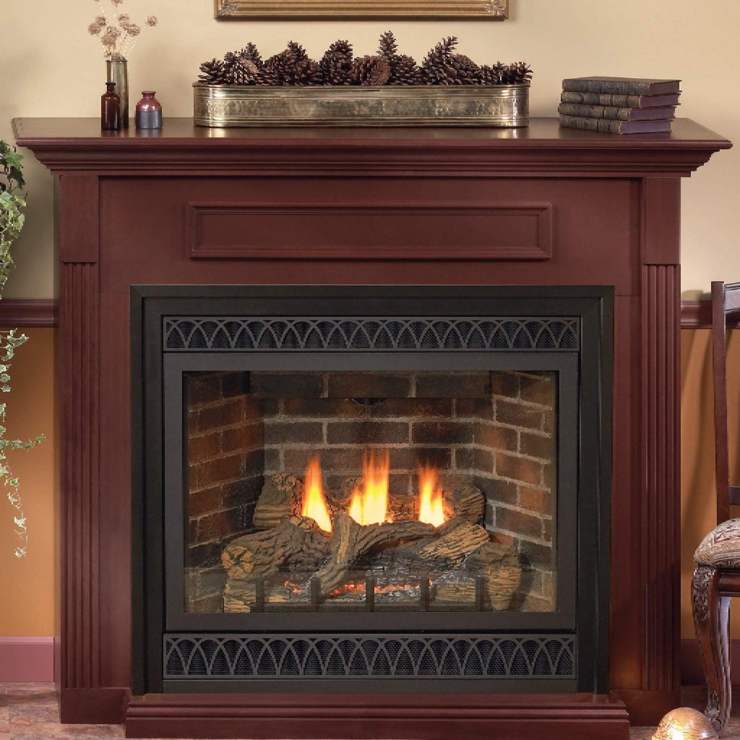 White Mountain Hearth (Empire) Tahoe 42-Inch Natural Gas Direct Vent Deluxe Fireplace [DVD42FP] (SAK56218)